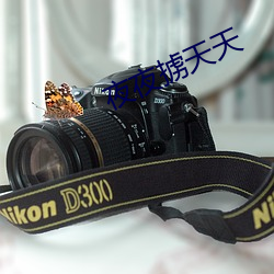 夜夜擄天天