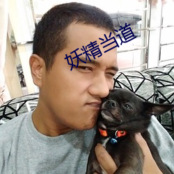 妖精当道 （旱涝保收）