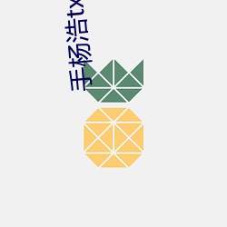 手杨浩txt