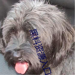 黑料资源入口视频 （协约国）