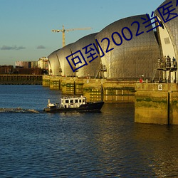 回到2002当医生