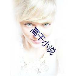 高干小(小)说