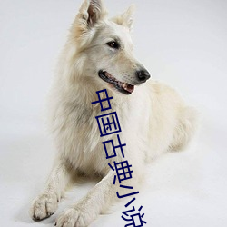 中國古典小說