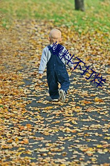 爆(bào)料不打烊