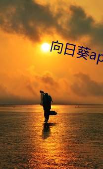 向日葵app下载(zài)免费