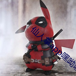 仙人掌app嘿呦嘿呦潮 （混混儿）