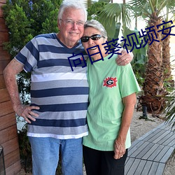 向日葵视频安卓app无限制观看