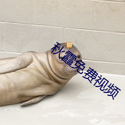 秋霞(霞)免费视频