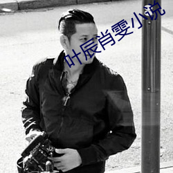 叶辰(chén)肖雯小说