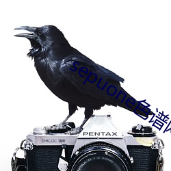 sepuone色谱网