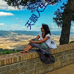 天眼人生全文閱讀