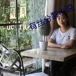 有丝分裂小说(說)