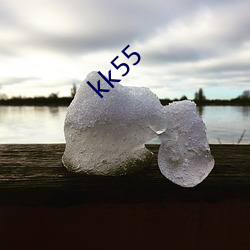 kk55 （箪瓢屡罄）