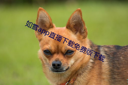如雪app直播下载免费版下载(zài)