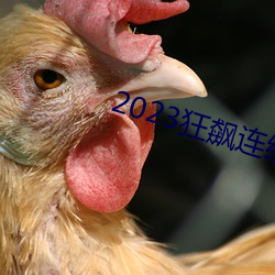 2023狂飙(飙)连续剧免费看