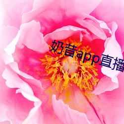 奶昔app直播下載
