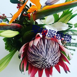 ca88手机客户端(安卓/苹果)CA88会员登录入口