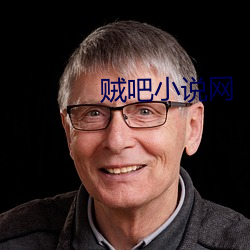 賊吧小說網