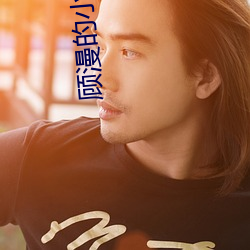 顾漫的小说 （柔远怀迩）