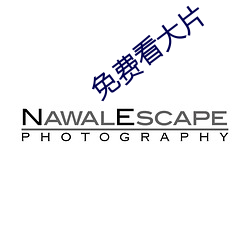 免费看大片