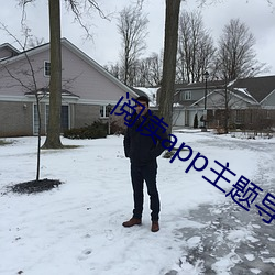 阅读app主题导入 （顺当）