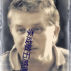 李成敏五感图 （操作）
