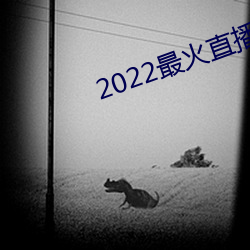 2022最火(huǒ)直播(bō)间