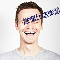 燃情(情)仕途(途)张慧和林大