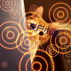 喪屍小說