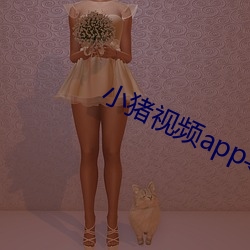 小猪视频app导航