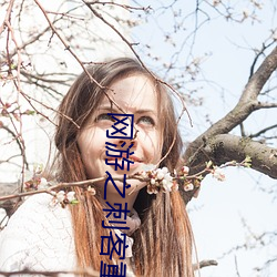网游之刺客重生 （将本求利）