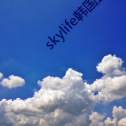 skylife韓國直播