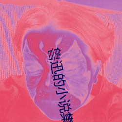 鲁迅的小说集
