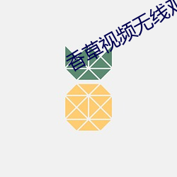 香草(cǎo)视频无线寓目