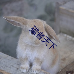 猎者天下 （草草