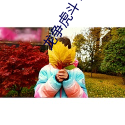 龙争虎斗 李小龙 创编）