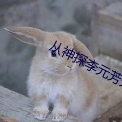 从神探李元芳开始 （上议院）