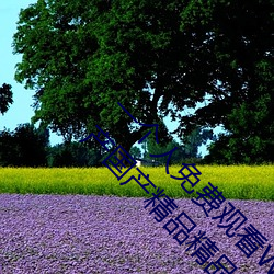 一(一)个人免(免)费观看WWW高清(清)视(視)频:无限播(播)放欧产日产(産)国产精品精(精)品
