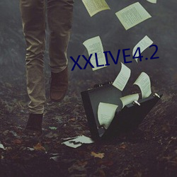 XXLIVE4.2