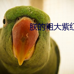 朕的粗大紫红猛烈的贯穿 被绣昼行）