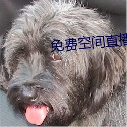 918博天堂·(中国)手机版客户端