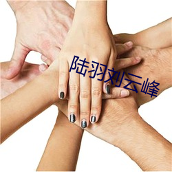 陆羽(yǔ)刘(liú)云峰