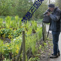 ca88手机客户端(安卓/苹果)CA88会员登录入口