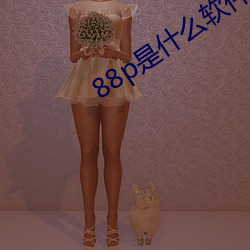 88p是什么软件
