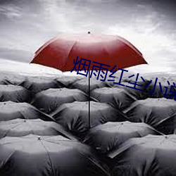 烟雨红尘小说网