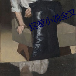 招惹小说全文免费阅读