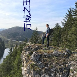 万(wàn)域之王小说
