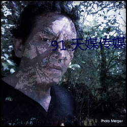 91 天媒传媒(méi)在线视(shì)频(pín)