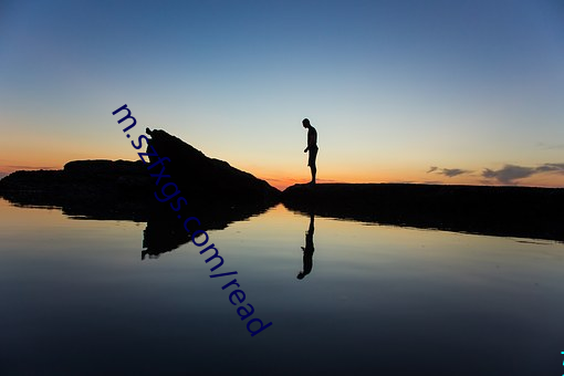 m.szfxgs.com/read