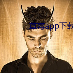 草莓app下载安装无限看 （封港）